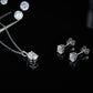 RINNTIN SMN30 Moissanite Pendant Necklace Set DE Color Oval Cut Diamond Sterling Silver Necklace Set for Women